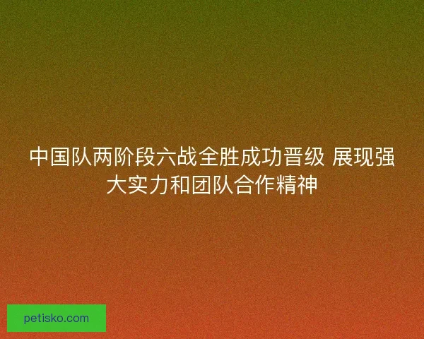 中国队两阶段六战全胜成功晋级 展现强大实力和团队合作精神 中国队两阶段六战全胜成功晋级 展现强大实力和团队合作精神