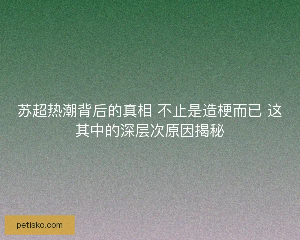 苏超热潮背后的真相 不止是造梗而已 这其中的深层次原因揭秘