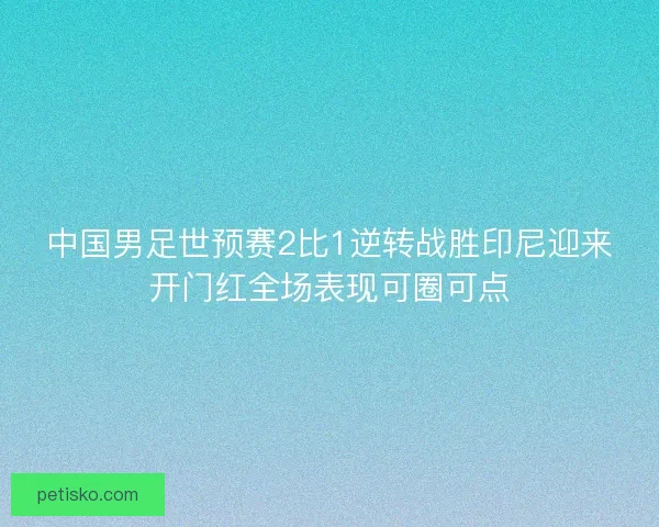 中国男足世预赛2比1逆转战胜印尼迎来开门红全场表现可圈可点
